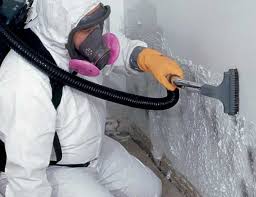 Mold Removal for HVAC Installations in Osborne, KS